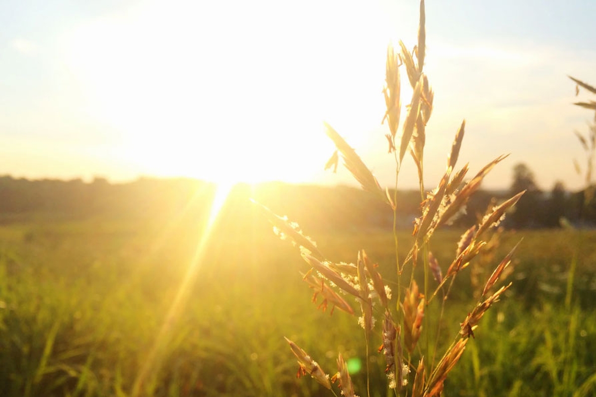Working the Weather: Driving in the Heat