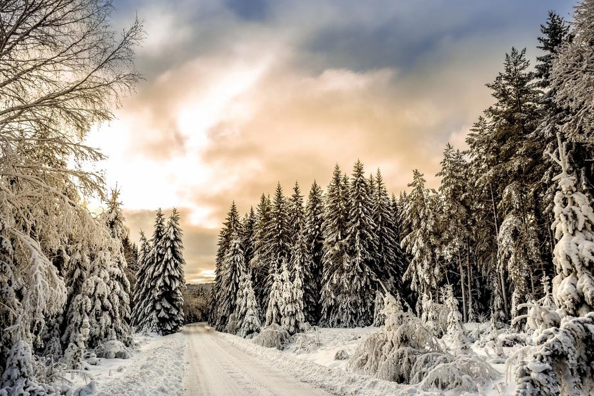 Driving in the Snow: How to Prepare for Road Conditions