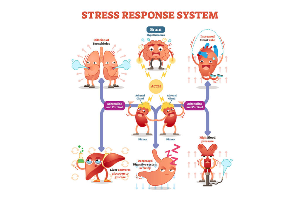 Too much stress can negatively affect our bodies.