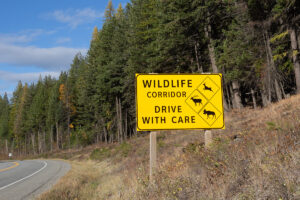 Increased signage in Wildlife Corridors.