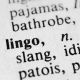 Common Truck Driver Lingo and Jargon