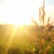 Working the Weather: Driving in the Heat