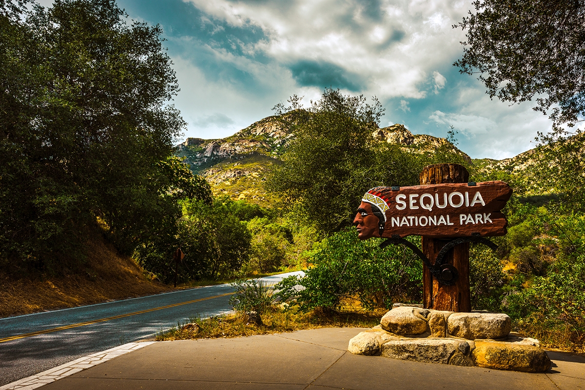 A Quick Vacation Guide: Sequoia and Kings Canyon National Parks
